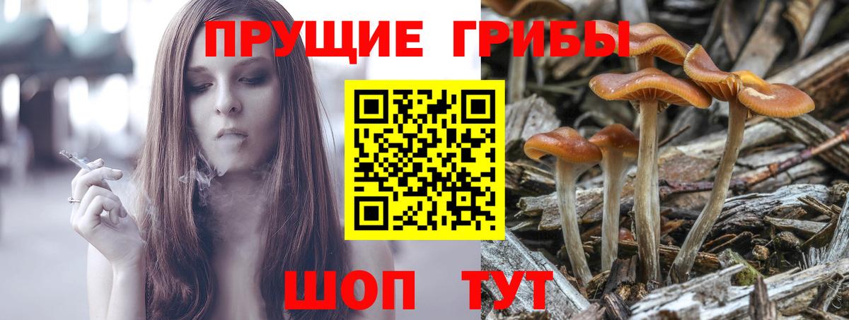 Озёры  Псилоцибиновые грибы MAGIC MUSHROOMS  Вход с VPN  хочу   Псилоцибиновые грибы Cubensis 